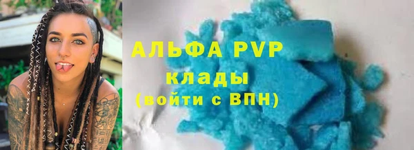 прущие крисы Пересвет