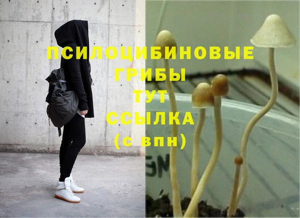 прущие крисы Пересвет