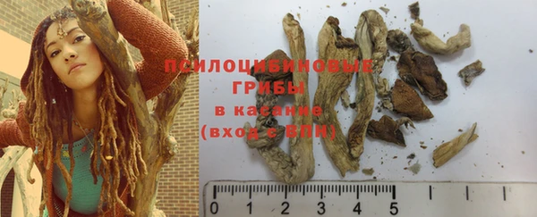 прущие крисы Пересвет