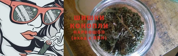 прущие крисы Пересвет