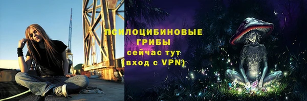 прущая мука Пестово